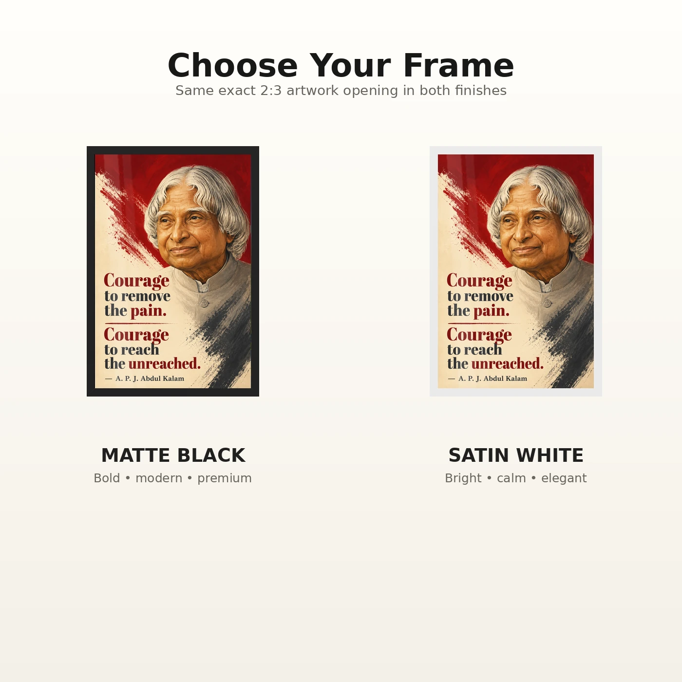 APJ Abdul Kalam Courage to Reach the Unreached Frame, view 7