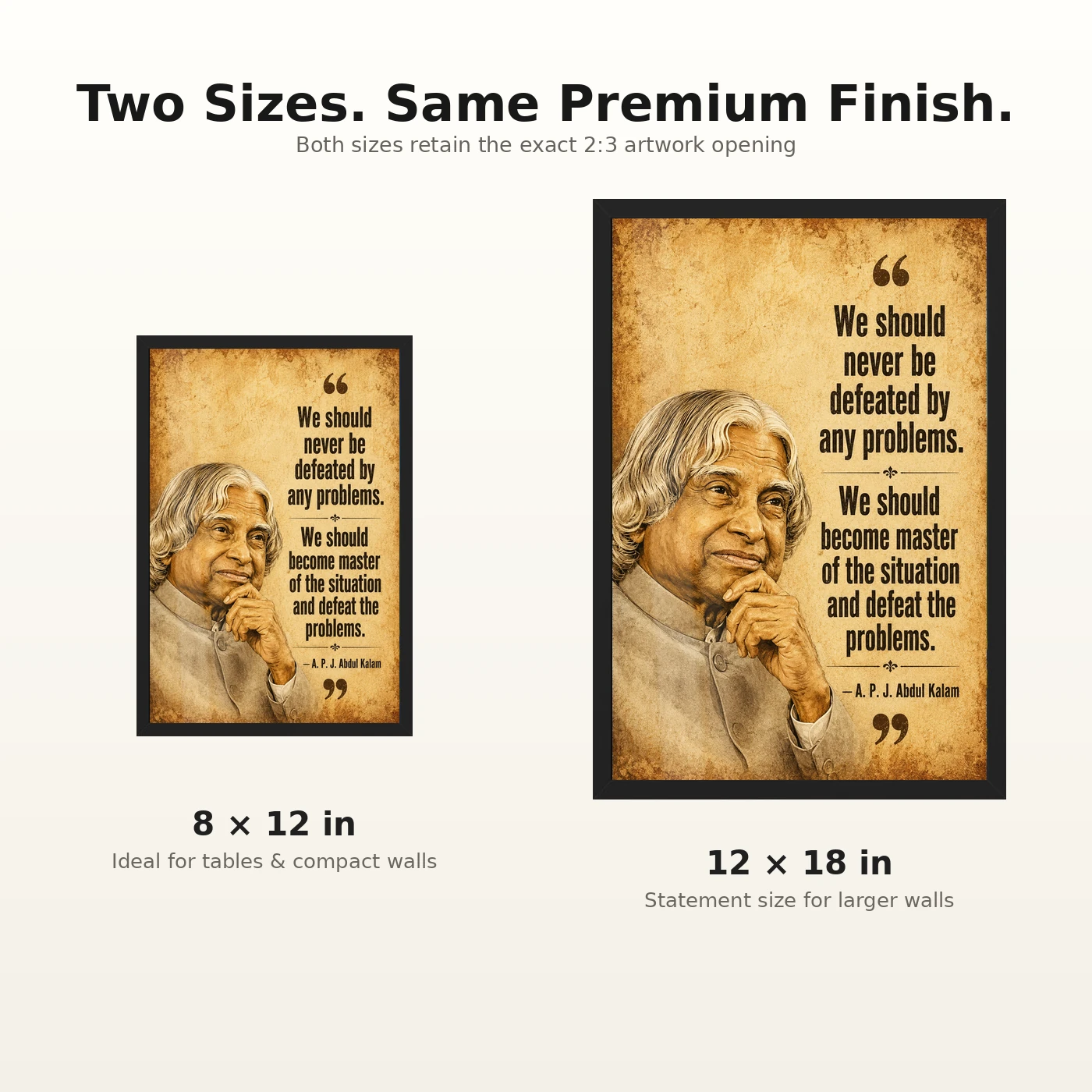 APJ Abdul Kalam Master the Problems Motivational Frame, view 8