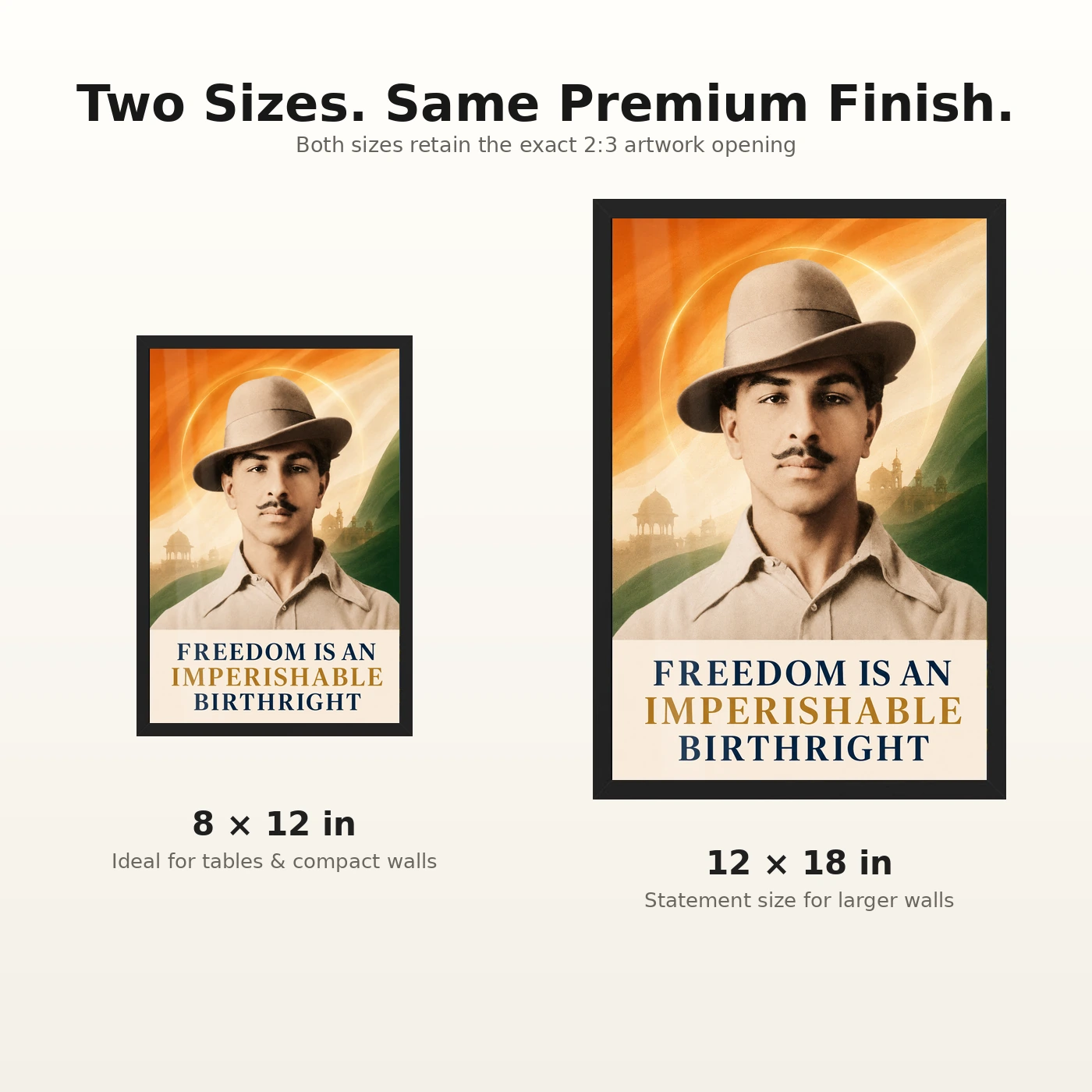 Bhagat Singh Freedom Birthright Tricolor Photo Frame, view 8