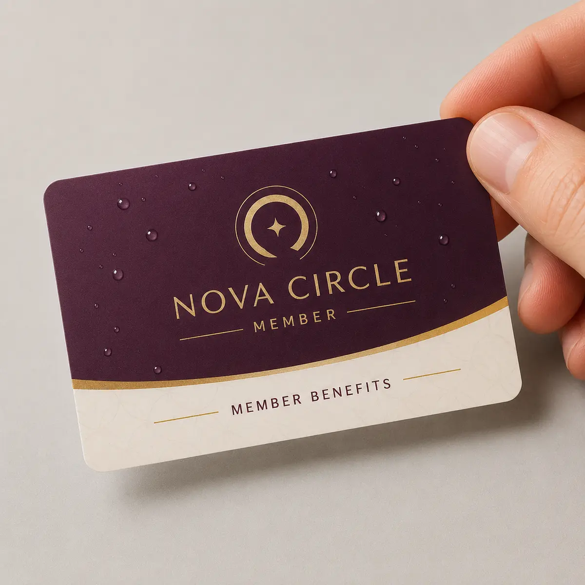 PVC Membership Card Printing, view 4
