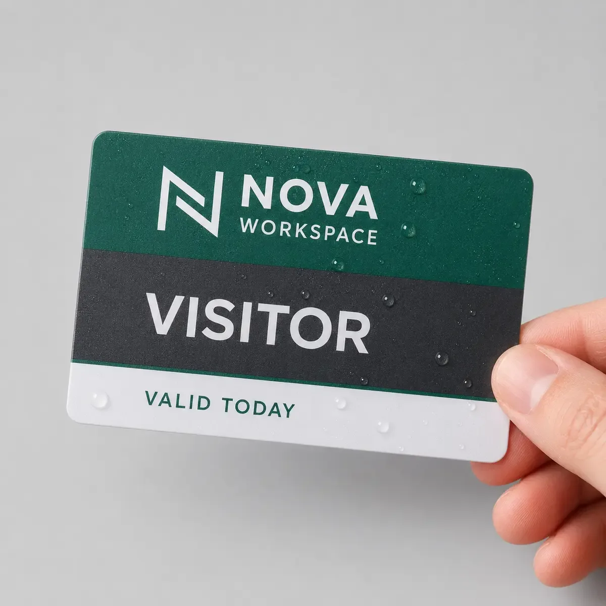 Visitor Pass Card Printing, view 4